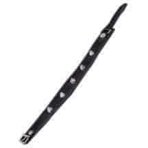 Ошейник узкий с окантовкой Подиум, черный. Нет в наличии Ошейник узкий с окантовкой Подиум, черный