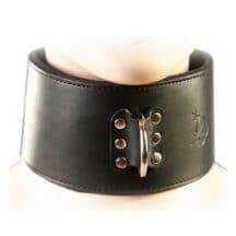 Широкий ошейник. Нет в наличии Широкий ошейник