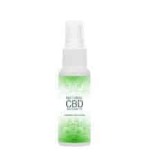 Массажное масло PharmQuests Natural CBD, 50 мл Массажное масло PharmQuests Natural CBD, 50 мл