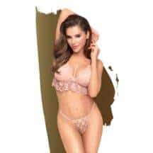 Комплект бюст и трусики Penthouse Double Spice, телесный, M/L. Нет в наличии Комплект бюст и трусики Penthouse Double Spice, телесный, M/L