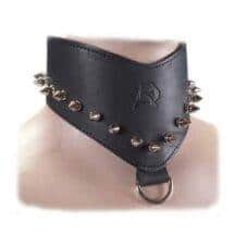 Шипованный ошейник. Нет в наличии Шипованный ошейник