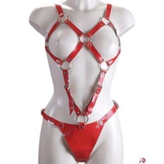 Сбруя красная из кожаных ремней