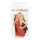 Сорочка и трусики Penthouse Sweet and Spicy L/XL, красная
